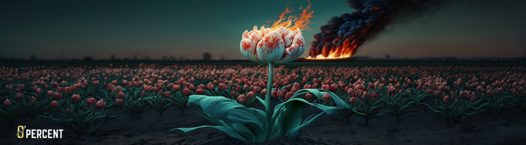 We Can Learn From The Dutch Tulip Crisis